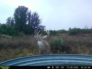 Property photo 218 - 2,950+/- CONTIGUOUS ACRES IN WOODWARD COUNTY, OKLAHOMA