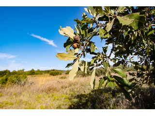 Property photo 8 - 2,950+/- CONTIGUOUS ACRES IN WOODWARD COUNTY, OKLAHOMA