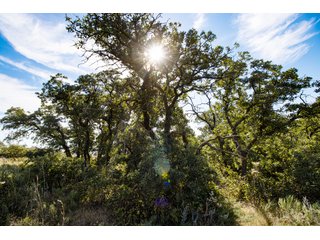 Property photo 9 - 2,950+/- CONTIGUOUS ACRES IN WOODWARD COUNTY, OKLAHOMA