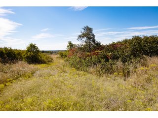 Property photo 3 - 2,950+/- CONTIGUOUS ACRES IN WOODWARD COUNTY, OKLAHOMA