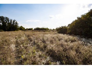 Property photo 10 - 2,950+/- CONTIGUOUS ACRES IN WOODWARD COUNTY, OKLAHOMA