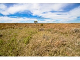 Property photo 169 - 2,950+/- CONTIGUOUS ACRES IN WOODWARD COUNTY, OKLAHOMA