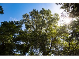 Property photo 173 - 2,950+/- CONTIGUOUS ACRES IN WOODWARD COUNTY, OKLAHOMA