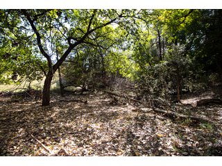 Property photo 174 - 2,950+/- CONTIGUOUS ACRES IN WOODWARD COUNTY, OKLAHOMA