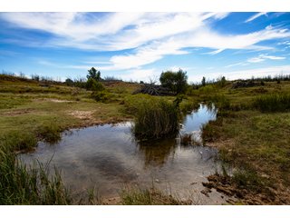 Property photo 181 - 2,950+/- CONTIGUOUS ACRES IN WOODWARD COUNTY, OKLAHOMA