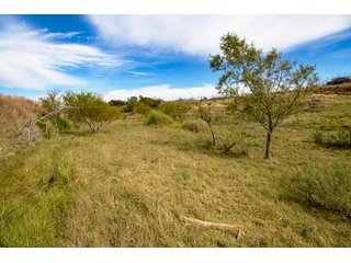 Property photo 182 - 2,950+/- CONTIGUOUS ACRES IN WOODWARD COUNTY, OKLAHOMA