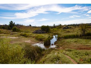 Property photo 183 - 2,950+/- CONTIGUOUS ACRES IN WOODWARD COUNTY, OKLAHOMA