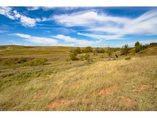 Property photo 184 - 2,950+/- CONTIGUOUS ACRES IN WOODWARD COUNTY, OKLAHOMA