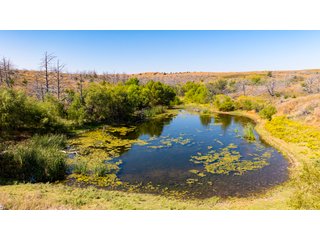 Property photo 176 - 2,950+/- CONTIGUOUS ACRES IN WOODWARD COUNTY, OKLAHOMA