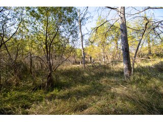 Property photo 192 - 2,950+/- CONTIGUOUS ACRES IN WOODWARD COUNTY, OKLAHOMA