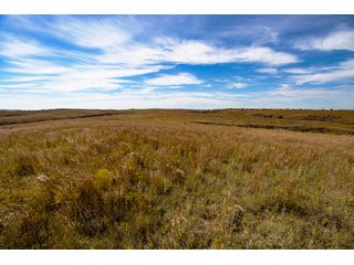Property photo 196 - 2,950+/- CONTIGUOUS ACRES IN WOODWARD COUNTY, OKLAHOMA