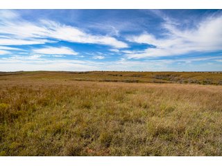 Property photo 197 - 2,950+/- CONTIGUOUS ACRES IN WOODWARD COUNTY, OKLAHOMA