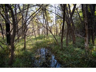 Property photo 199 - 2,950+/- CONTIGUOUS ACRES IN WOODWARD COUNTY, OKLAHOMA