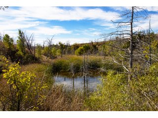 Property photo 200 - 2,950+/- CONTIGUOUS ACRES IN WOODWARD COUNTY, OKLAHOMA