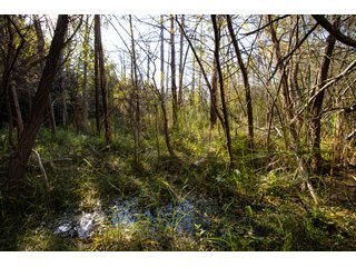 Property photo 201 - 2,950+/- CONTIGUOUS ACRES IN WOODWARD COUNTY, OKLAHOMA