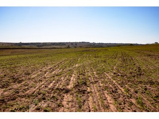 Property photo 190 - 2,950+/- CONTIGUOUS ACRES IN WOODWARD COUNTY, OKLAHOMA