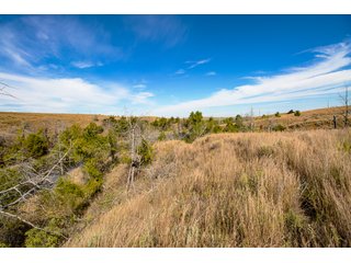 Property photo 202 - 2,950+/- CONTIGUOUS ACRES IN WOODWARD COUNTY, OKLAHOMA