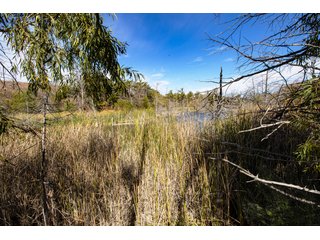 Property photo 203 - 2,950+/- CONTIGUOUS ACRES IN WOODWARD COUNTY, OKLAHOMA