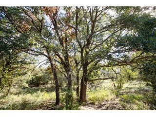 Property photo 20 - 2,950+/- CONTIGUOUS ACRES IN WOODWARD COUNTY, OKLAHOMA