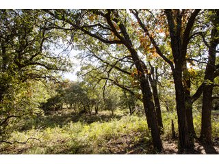 Property photo 21 - 2,950+/- CONTIGUOUS ACRES IN WOODWARD COUNTY, OKLAHOMA