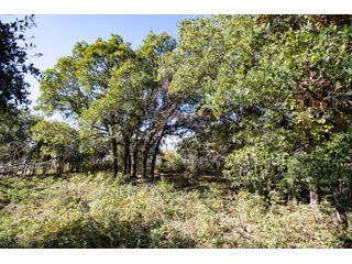 Property photo 25 - 2,950+/- CONTIGUOUS ACRES IN WOODWARD COUNTY, OKLAHOMA