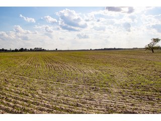 Property photo 26 - 2,950+/- CONTIGUOUS ACRES IN WOODWARD COUNTY, OKLAHOMA