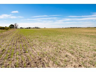 Property photo 27 - 2,950+/- CONTIGUOUS ACRES IN WOODWARD COUNTY, OKLAHOMA