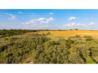 Property photo 32 - 2,950+/- CONTIGUOUS ACRES IN WOODWARD COUNTY, OKLAHOMA