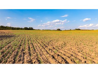 Property photo 41 - 2,950+/- CONTIGUOUS ACRES IN WOODWARD COUNTY, OKLAHOMA
