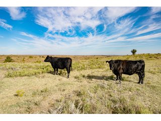 Property photo 52 - 2,950+/- CONTIGUOUS ACRES IN WOODWARD COUNTY, OKLAHOMA