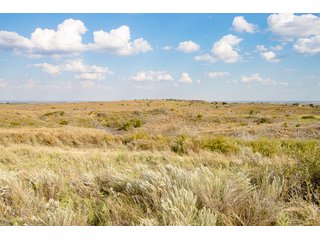 Property photo 49 - 2,950+/- CONTIGUOUS ACRES IN WOODWARD COUNTY, OKLAHOMA