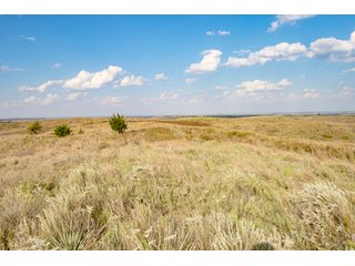 Property photo 57 - 2,950+/- CONTIGUOUS ACRES IN WOODWARD COUNTY, OKLAHOMA