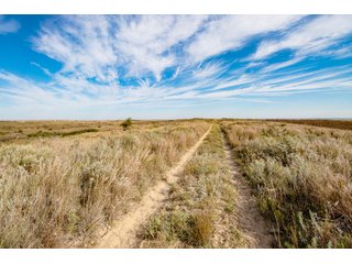 Property photo 67 - 2,950+/- CONTIGUOUS ACRES IN WOODWARD COUNTY, OKLAHOMA