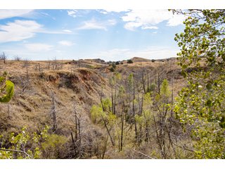 Property photo 56 - 2,950+/- CONTIGUOUS ACRES IN WOODWARD COUNTY, OKLAHOMA