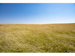 Property photo 92 - 2,950+/- CONTIGUOUS ACRES IN WOODWARD COUNTY, OKLAHOMA