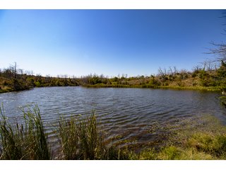 Property photo 129 - 2,950+/- CONTIGUOUS ACRES IN WOODWARD COUNTY, OKLAHOMA