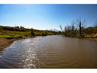 Property photo 131 - 2,950+/- CONTIGUOUS ACRES IN WOODWARD COUNTY, OKLAHOMA