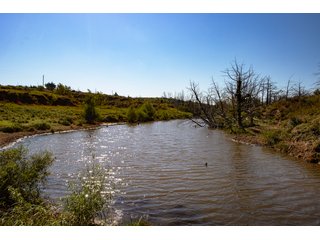 Property photo 139 - 2,950+/- CONTIGUOUS ACRES IN WOODWARD COUNTY, OKLAHOMA