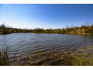 Property photo 140 - 2,950+/- CONTIGUOUS ACRES IN WOODWARD COUNTY, OKLAHOMA