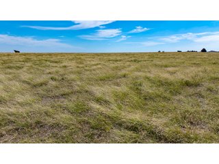 Property photo 126 - 2,950+/- CONTIGUOUS ACRES IN WOODWARD COUNTY, OKLAHOMA