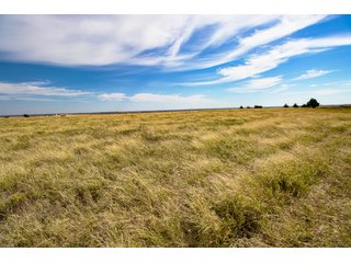 Property photo 149 - 2,950+/- CONTIGUOUS ACRES IN WOODWARD COUNTY, OKLAHOMA