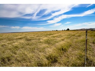 Property photo 150 - 2,950+/- CONTIGUOUS ACRES IN WOODWARD COUNTY, OKLAHOMA