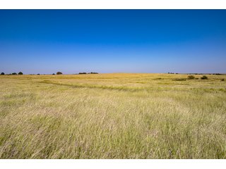 Property photo 158 - 2,950+/- CONTIGUOUS ACRES IN WOODWARD COUNTY, OKLAHOMA