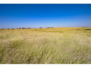 Property photo 159 - 2,950+/- CONTIGUOUS ACRES IN WOODWARD COUNTY, OKLAHOMA