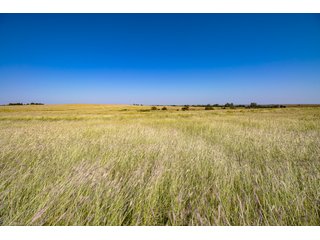 Property photo 160 - 2,950+/- CONTIGUOUS ACRES IN WOODWARD COUNTY, OKLAHOMA