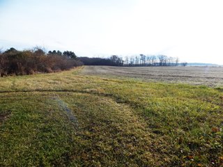 Property photo 14 - REAL ESTATE AUCTION - 90+/-ACRES OFFERED IN 4 TRACTS IN WHITLEY COUNTY, INDIANA
