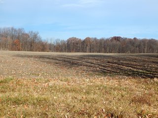 Property photo 2 - REAL ESTATE AUCTION - 90+/-ACRES OFFERED IN 4 TRACTS IN WHITLEY COUNTY, INDIANA