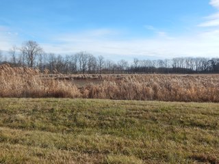 Property photo 15 - REAL ESTATE AUCTION - 90+/-ACRES OFFERED IN 4 TRACTS IN WHITLEY COUNTY, INDIANA