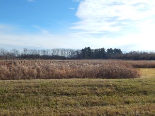 Property photo 16 - REAL ESTATE AUCTION - 90+/-ACRES OFFERED IN 4 TRACTS IN WHITLEY COUNTY, INDIANA