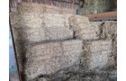 Property photo 25 - TIMED ONLINE ONLY SMALL EQUIPMENT AUCTION